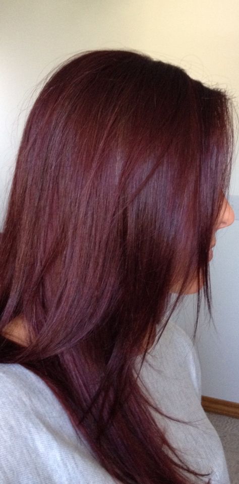 Shades of Burgundy Hair Color 
